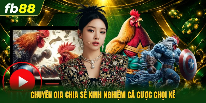 Trường Gà Thomo | Đấu Trường Đá Gà Hấp Dẫn Hàng Đầu 3 Chuyên gia chia sẻ kinh nghiệm cá cược chọi kê