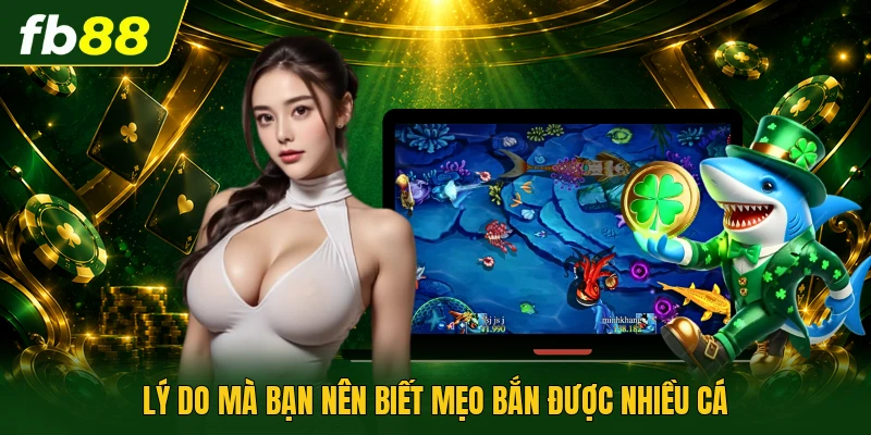 Lý do mà bạn nên biết mẹo bắn được nhiều cá