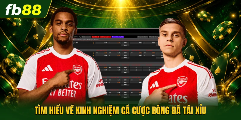 Tìm hiểu về kinh nghiệm cá cược bóng đá tài xỉu 