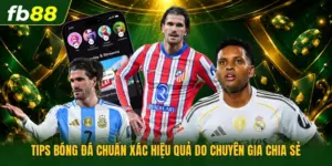 Tips Bóng Đá Chuẩn Xác Hiệu Quả Do Chuyên Gia Chia Sẻ