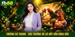 Trường Gà Thomo - Đấu Trường Đá Gà Hấp Dẫn Hàng Đầu  