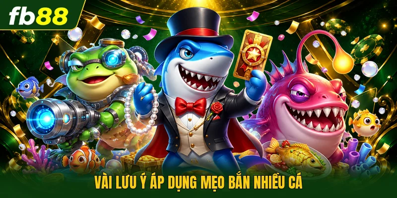 Vài lưu ý áp dụng mẹo bắn nhiều cá